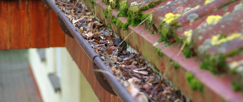 Debris stuck on a gutter in Delaware, OH.