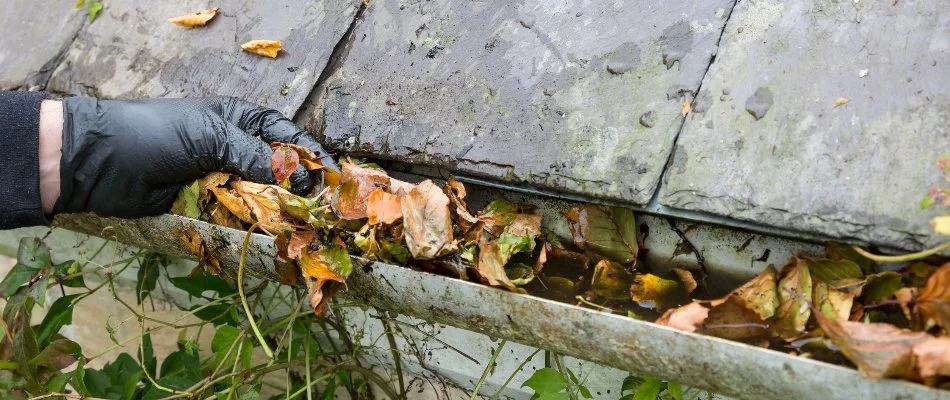 Gloved hand removing debris from a gutter in Delaware, OH.