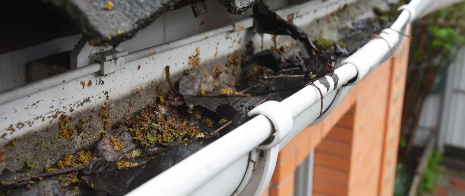 Gutter in Delaware, OH, clogged with debris.
