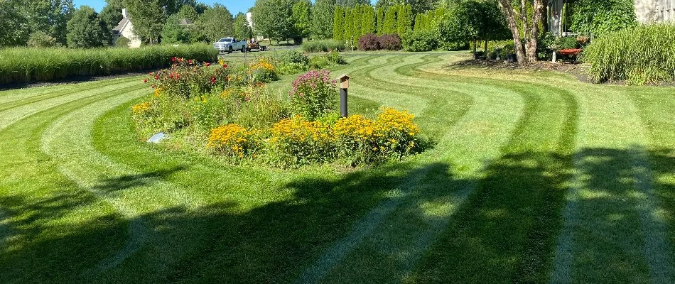 Weed-free lawn in Delaware, OH.