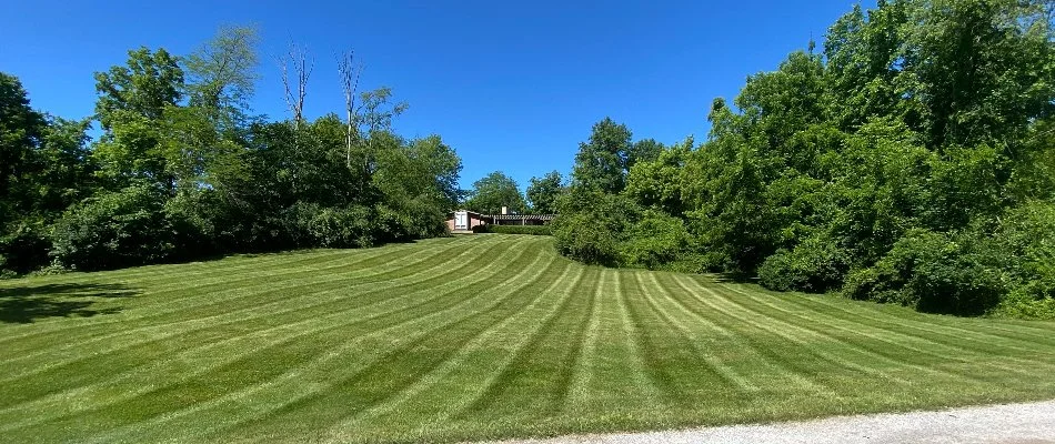 Large lawn with striping in Delaware, OH, surrounded by trees.