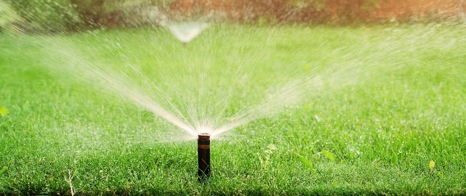 Lawn in Delaware, OH, with sprinkler head.