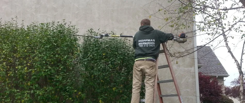 Man on a ladder trimming a shrub in Delaware, OH.