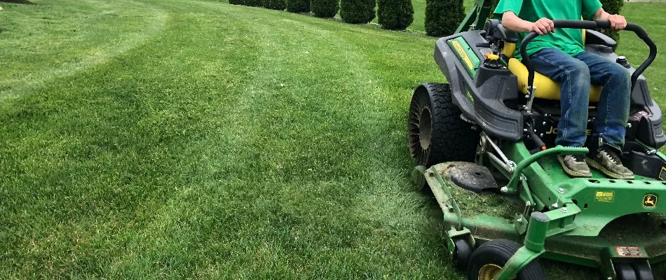 Blog Mowing Grass