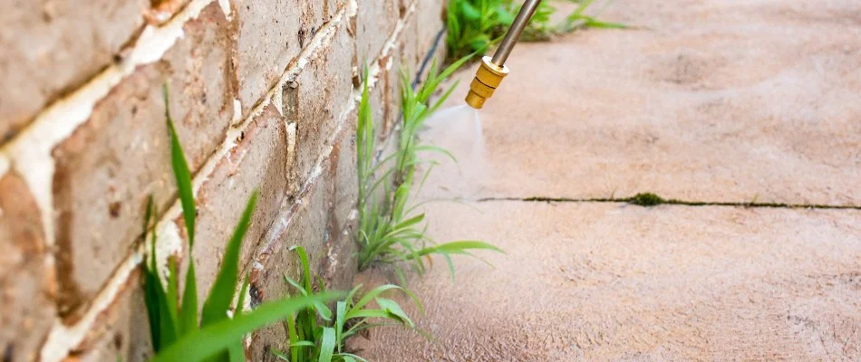 Pest control treatment on the foundation of a building in Delaware, OH.