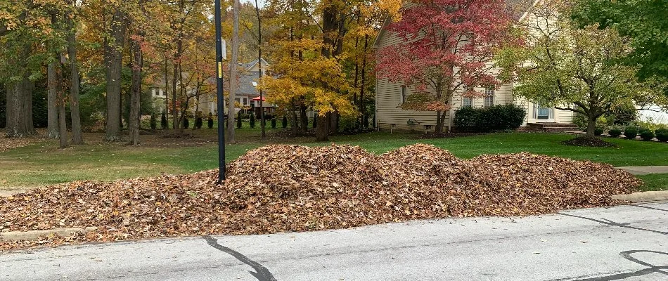 Pile of leaves on a curb in Delaware, OH.