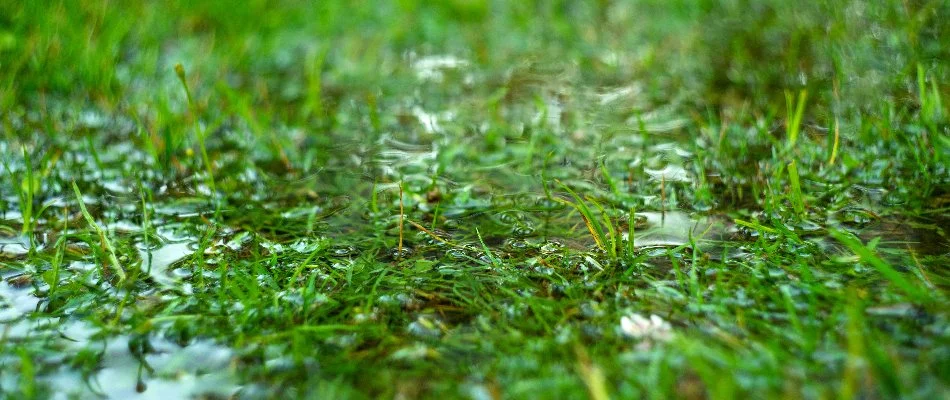 Puddle on a lawn in Delaware, OH.
