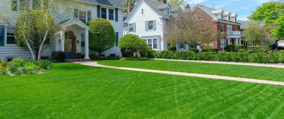 Vibrant lawn and plants in Delaware, OH.