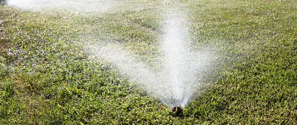 Water from a sprinkler head on a lawn in Delaware, OH.
