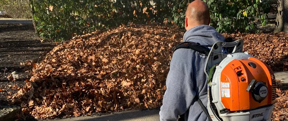 Worker blowing leaves into a pile in Delaware, OH.