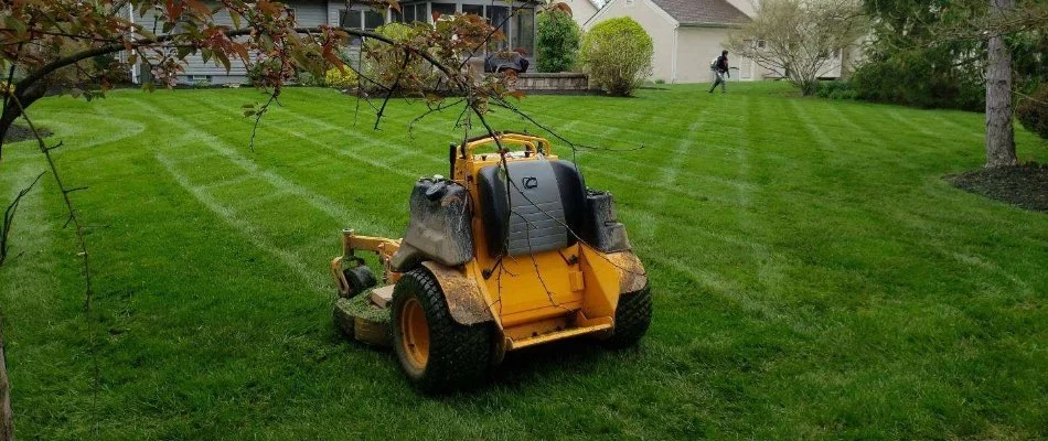 Yellow mower on a green lawn in a backyard in Delaware, OH.