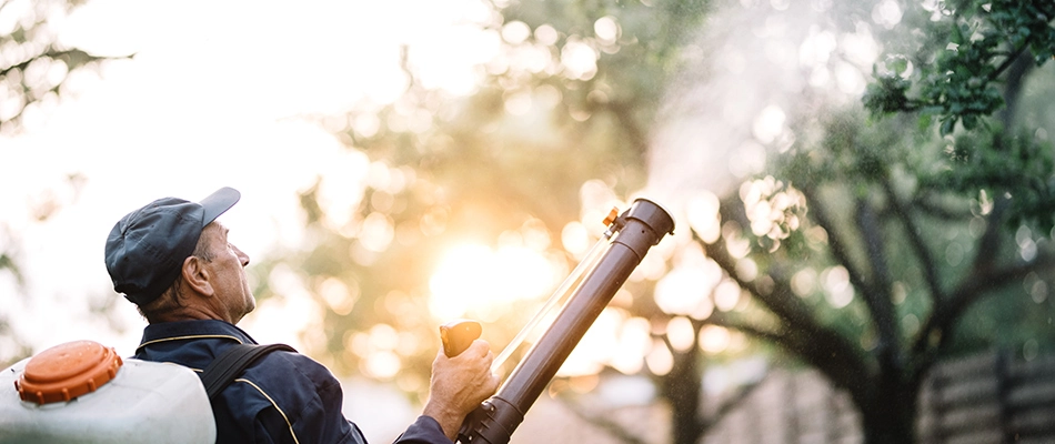 Backpack fogger being used to apply pest control treatment to trees in Delaware, OH.