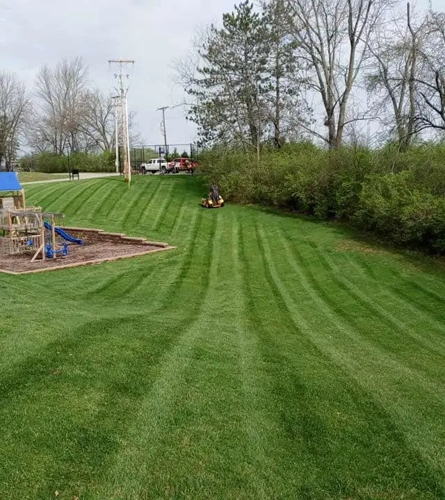Beautiful, green lawn with mowing stripes and healthy grass in Delaware, Ohio.
