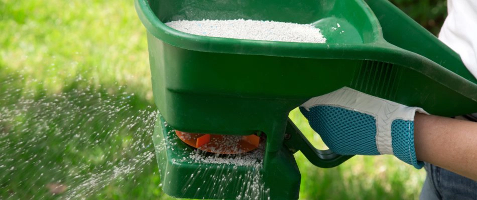 Fertilizer in a handheld spreader in Delaware, OH.