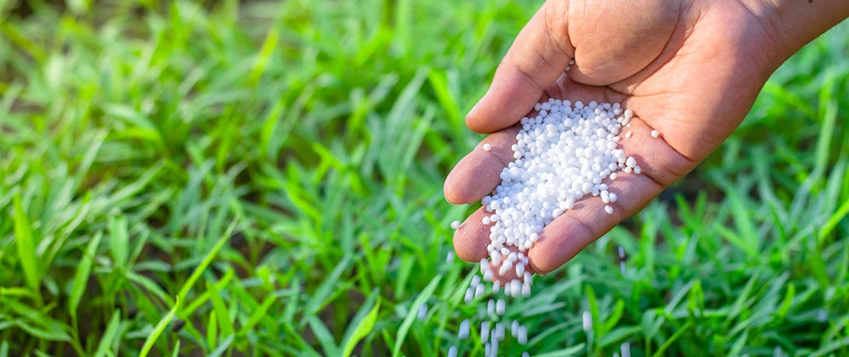 Granular fertilize pellets in a hand in Dublin, OH.