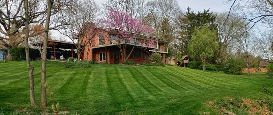 Healthy lawn in Berkshire Township, OH, with house and trees.