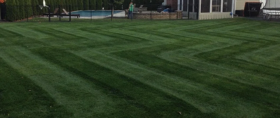 Lawn in Washington Township, OH, with zigzag mowing pattern.