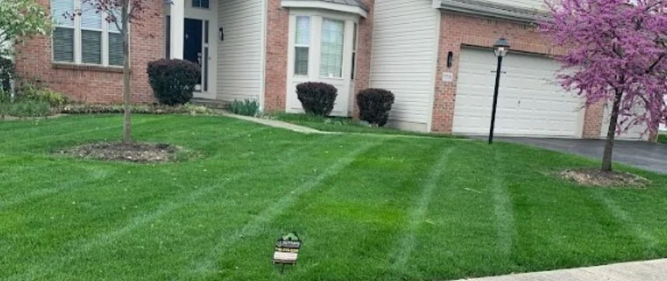 Healthy, green lawn on a property in Minerva Park, OH.
