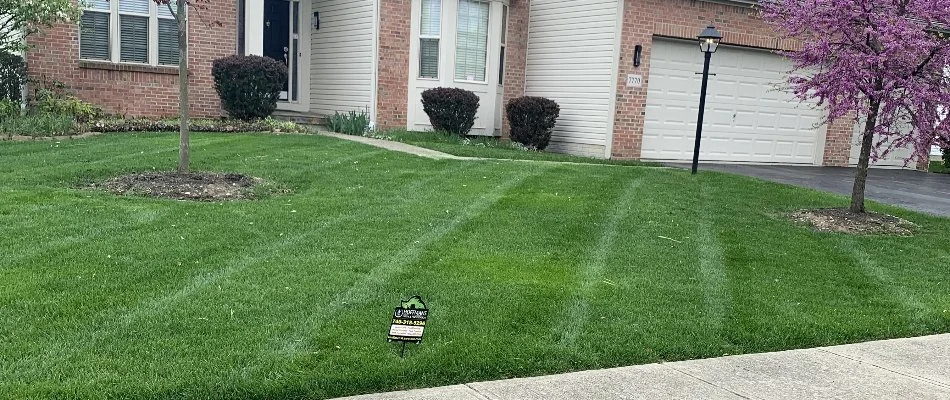 Lush, thick front lawn and a house in Galena, OH.