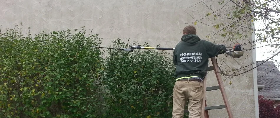 Man trimming a shrub in Liberty Township, OH.