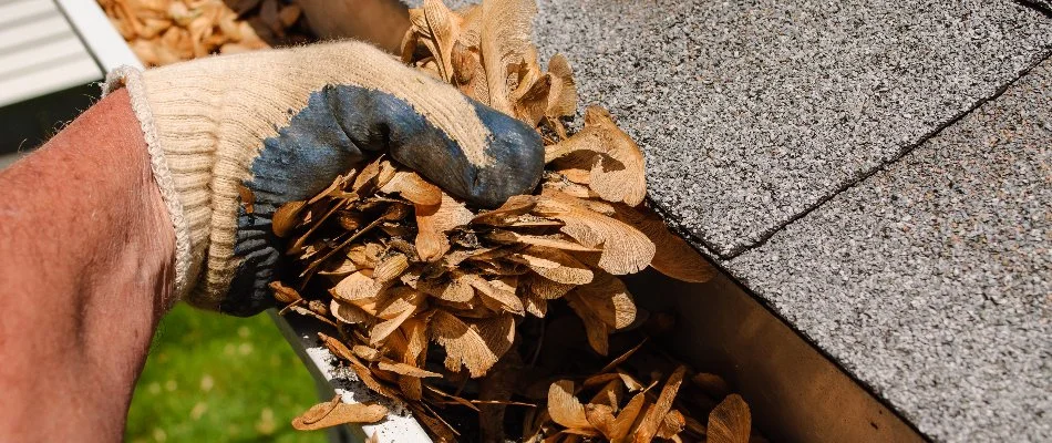Person cleaning gutter filled with leaves.