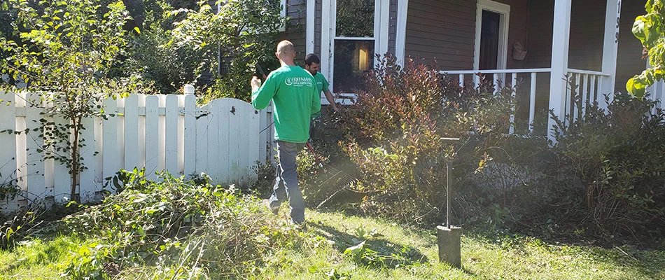 Professionals cleaning yard up in Lewis Center, OH.