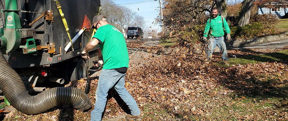 Leaves being cleared by a truck vacuum in Lewis Center, OH.