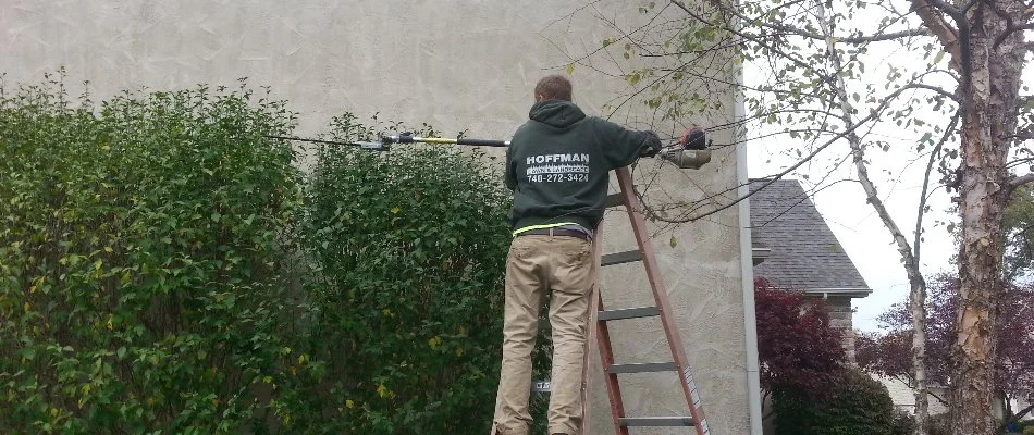 Shrubs in Galena, OH, being trimmed by a worker on a ladder.