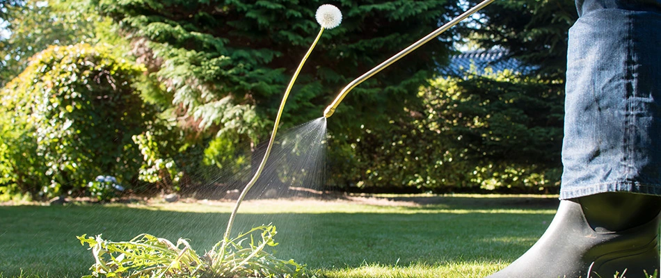 Technician applying post-emergent weed control in Dublin, OH.