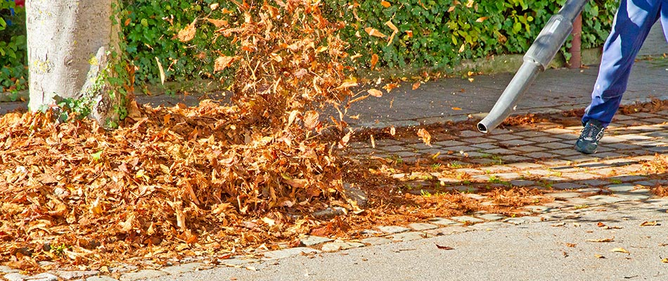 Leaves being blown off of property in Lewis Center, OH.