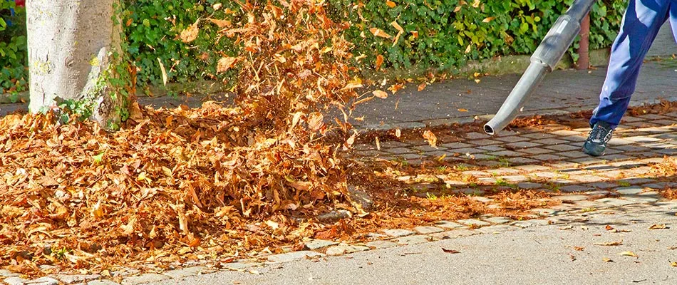 Leaves being blown off of property in Lewis Center, OH.