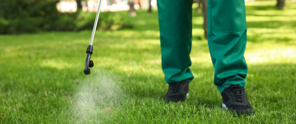 A technician spraying lawn with treatment in Delaware, OH.