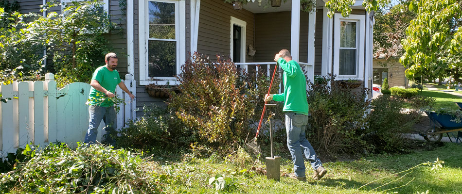 Two professionals cleaning up a yard in Westerville, OH.